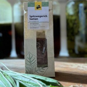 Bio-Spitzwegerichsamen