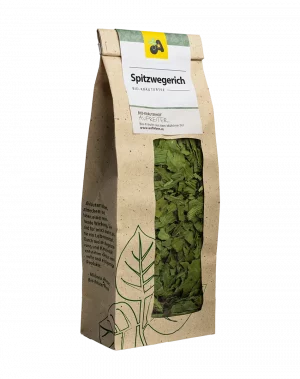Spitzwegerich