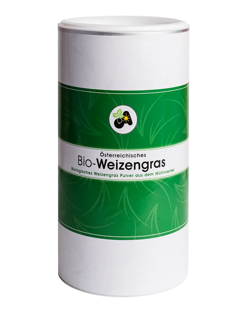 Weizengras