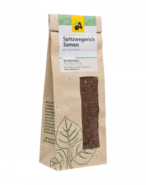 Bio-Spitzwegerichsamen