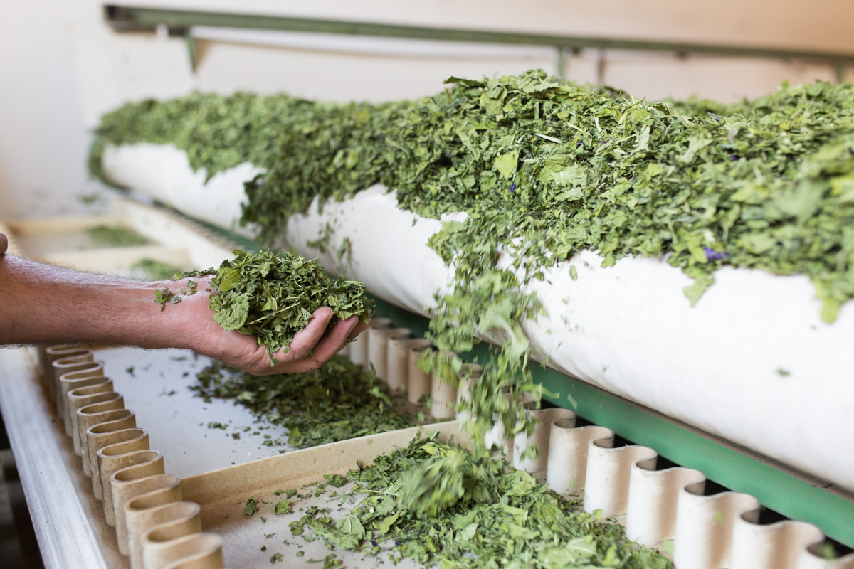 Weiterverarbeitung & Lagerung