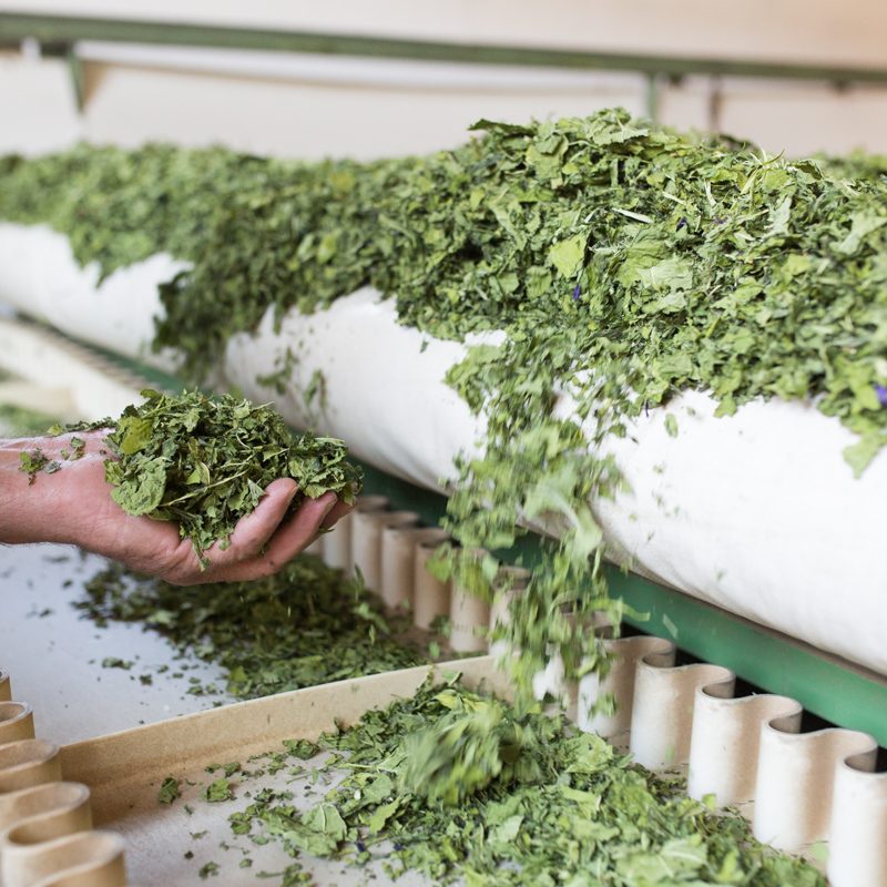 Weiterverarbeitung & Lagerung