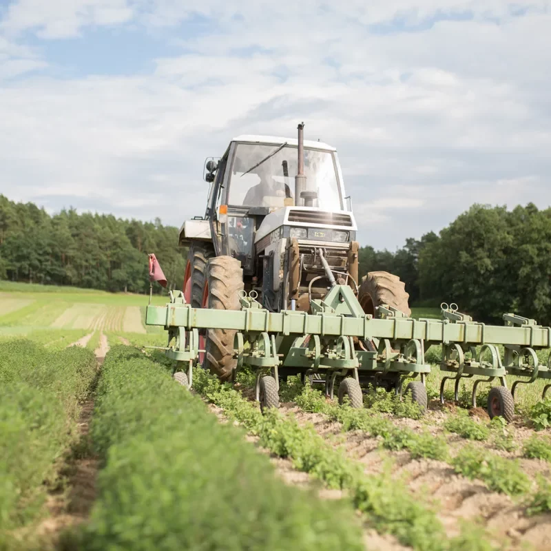 Ein Bauernhof, der auf Qualität setzt