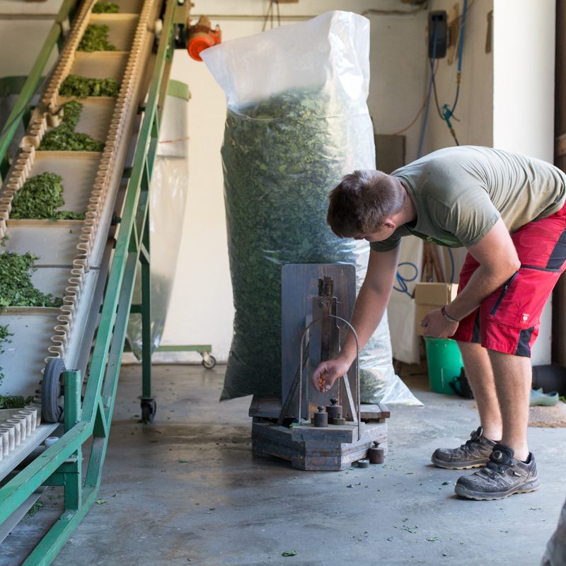 Weiterverarbeitung & Lagerung